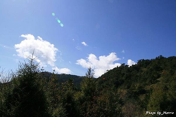 新中橫逍遙遊 (7).jpg