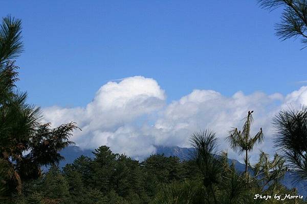 新中橫逍遙遊 (9).jpg