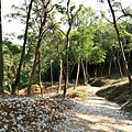 永和山水庫遇上桐花雨 (28).jpg