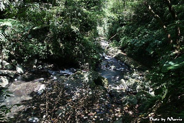 林美石磐步道 (08).jpg