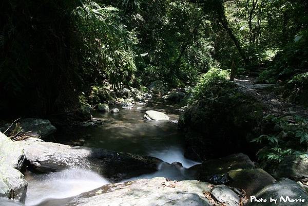 林美石磐步道 (14).jpg