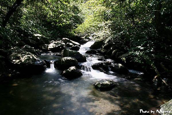 林美石磐步道 (43).jpg