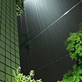雨夜花 (3).jpg