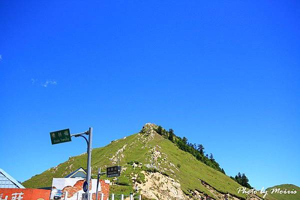 夏日合歡 (30).jpg