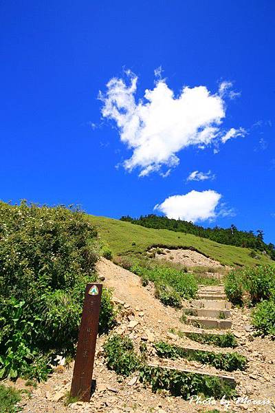 合歡山東峰百岳行 (04).jpg