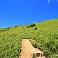 合歡山東峰百岳行 (07).jpg