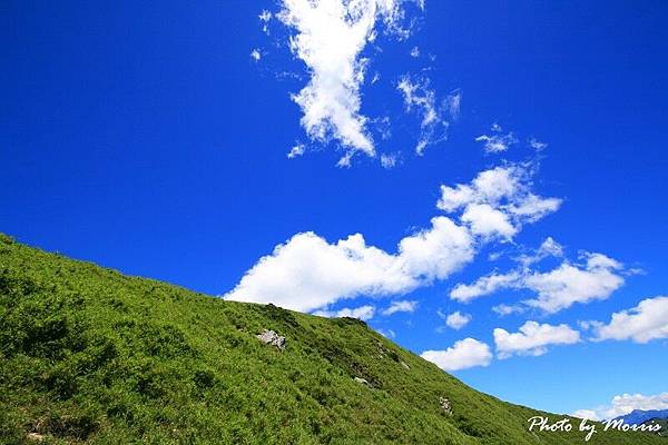 合歡山東峰百岳行 (20).jpg