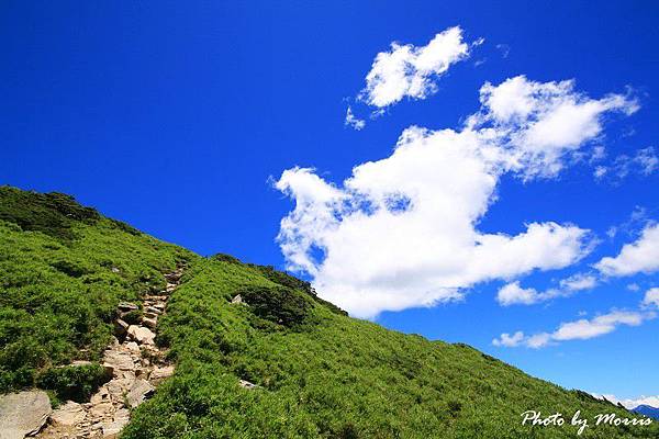 合歡山東峰百岳行 (24).jpg