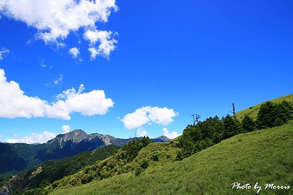 合歡山東峰百岳行 (57).jpg