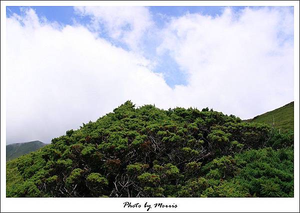 合歡山北峰百岳行 (65).jpg