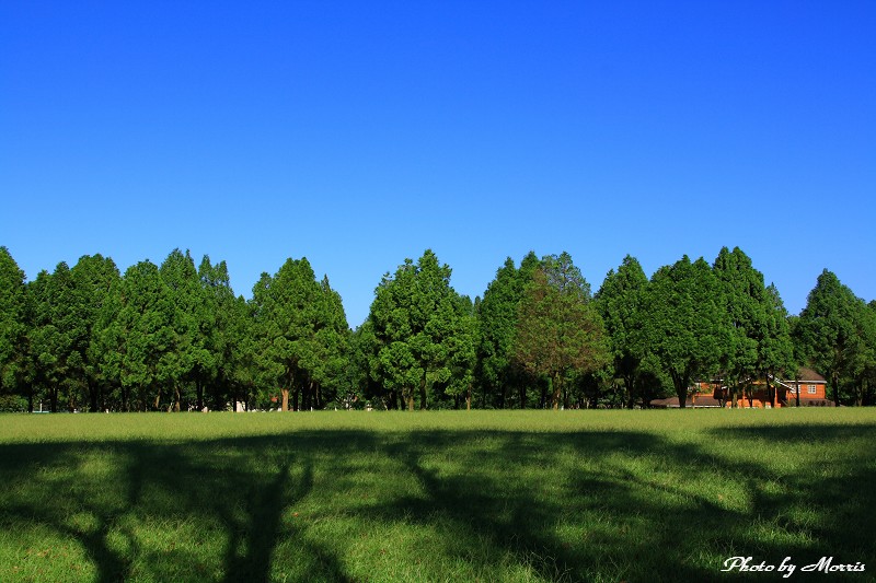 三育基督學院 (13).jpg