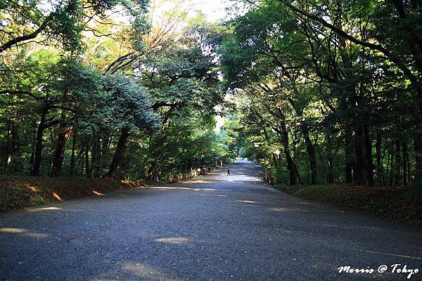 明治神宮 (04).JPG