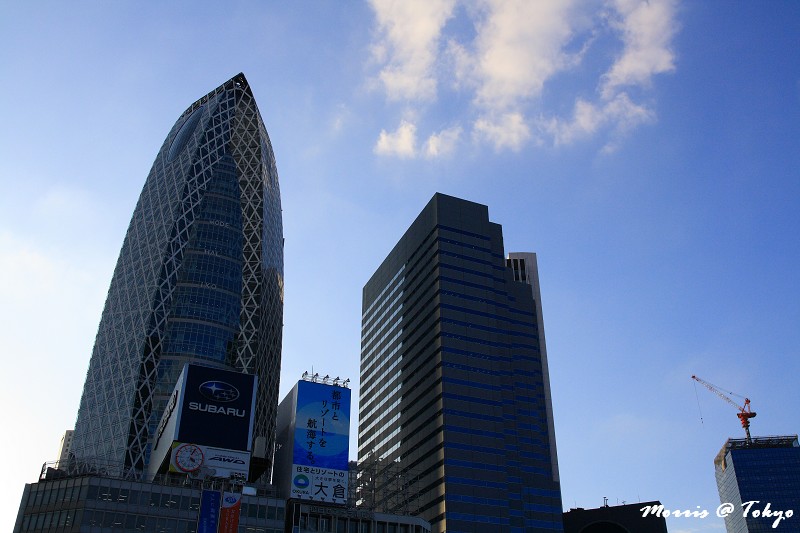 東京 新宿東京都廳免費展望夜景 攝影 旅行 拈花惹草 Morris 東京 新宿東京都廳免費展望夜景 攝影 旅行 拈花惹草 Morris