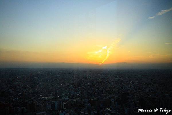 新宿東京都廳 (20).JPG