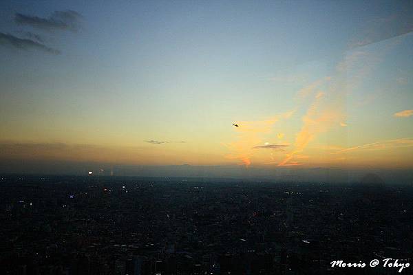 新宿東京都廳 (27).JPG