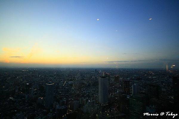 新宿東京都廳 (29).JPG