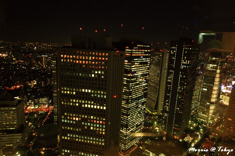 東京 新宿東京都廳免費展望夜景 攝影 旅行 拈花惹草 Morris 東京 新宿東京都廳免費展望夜景 攝影 旅行 拈花惹草 Morris