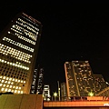 新宿東京都廳 (44).JPG