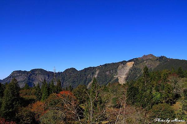 慢遊阿里山 (53).JPG