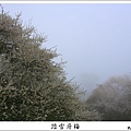 烏松崙踏雪尋梅 (01).JPG