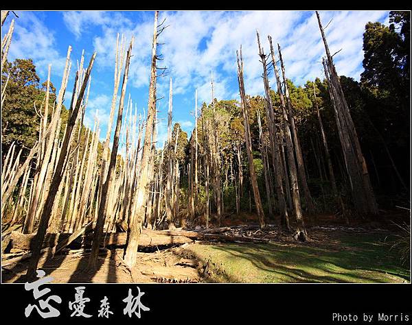 天然紙廠‧忘憂森林 (07).JPG