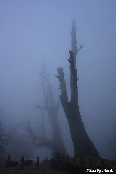 登鹿林山、麟趾山.JPG