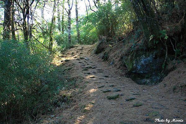 登鹿林山、麟趾山 (05).JPG