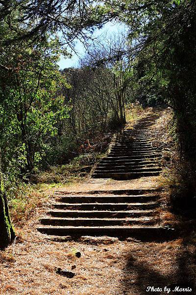 登鹿林山、麟趾山 (08).JPG