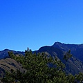 登鹿林山、麟趾山 (16).JPG