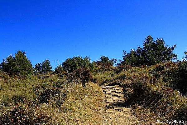 登鹿林山、麟趾山 (19).JPG