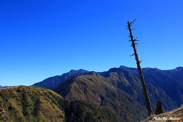 登鹿林山、麟趾山 (22).JPG