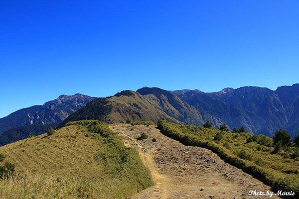 登鹿林山、麟趾山 (47).JPG