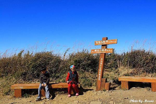 登鹿林山、麟趾山 (49).JPG