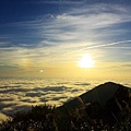 阿里山日落雲海 (05).JPG