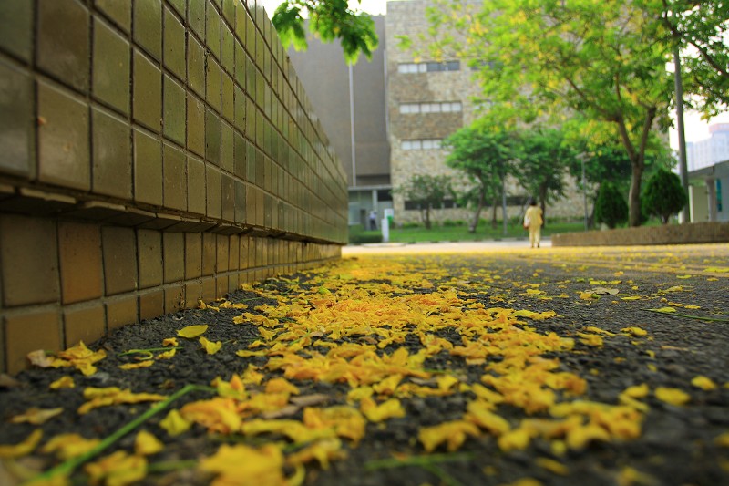 五權西路美術館綠園道異國之旅 (02).JPG