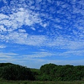 聯勤大草原 (26).JPG