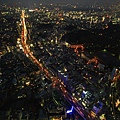 六本木之夜 (62).JPG