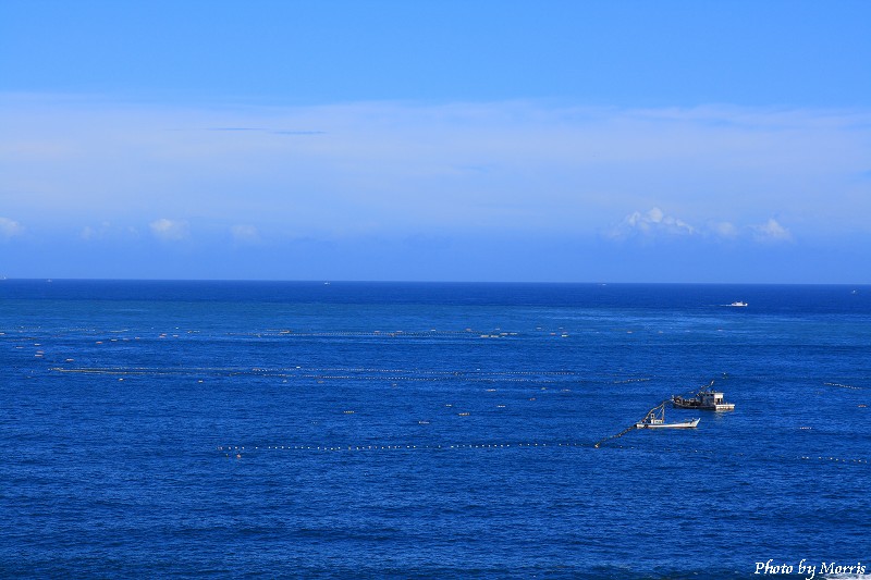 東北角海岸線 (33).JPG