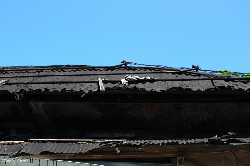 新城照相館 (46).JPG 新城照相館 (46).JPG