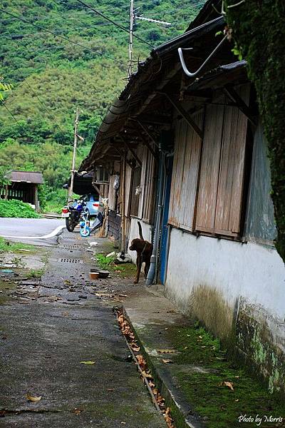 新舊之間‧林田山 (48).JPG
