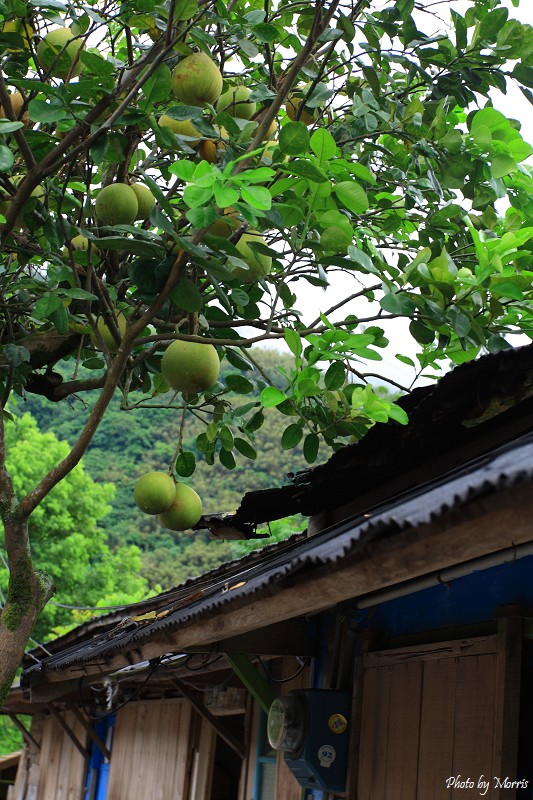 新舊之間‧林田山 (61).JPG