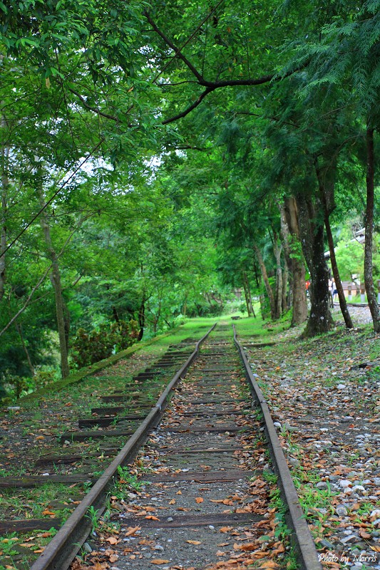 新舊之間‧林田山 (69).JPG