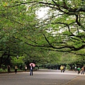 上野公園 (15).JPG