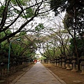 上野公園 (22).JPG