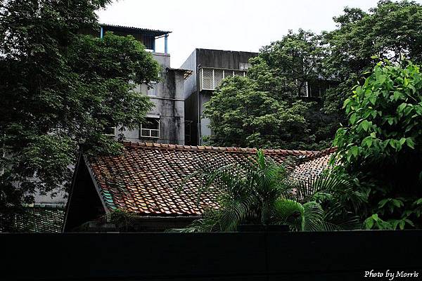 細雨‧青田街 (08).JPG