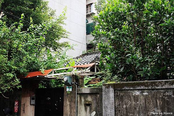 細雨‧青田街 (15).JPG