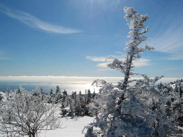 Winter_Acadia National Park