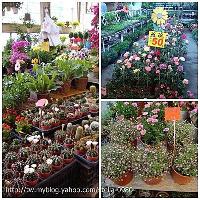 逛逛台中大里國光花市吃個小雞麵 Yun的小滷蛋bolg 痞客邦