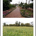 綠光花園01.jpg