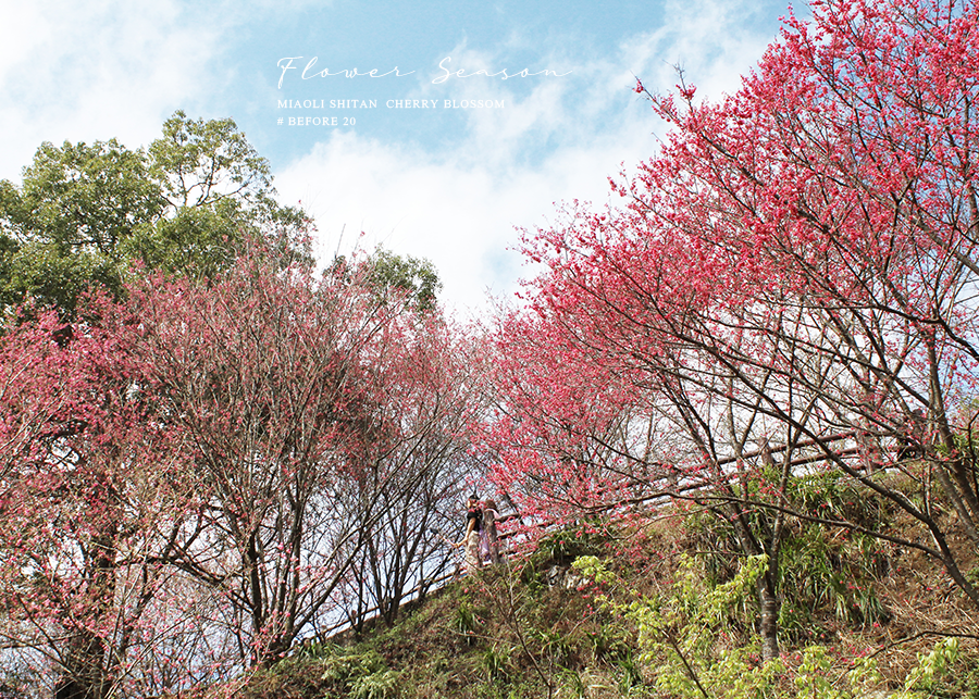 MIA01-010.png MIA01-010.png